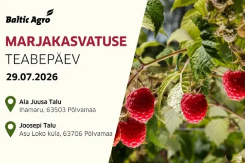 marjap&auml;ev Baltic