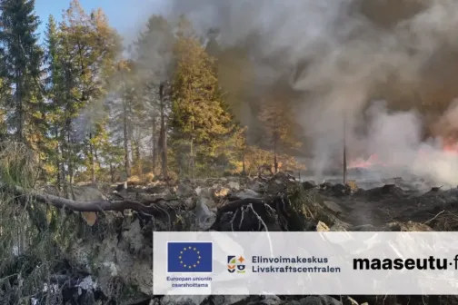 metsap&otilde;leng ja logod