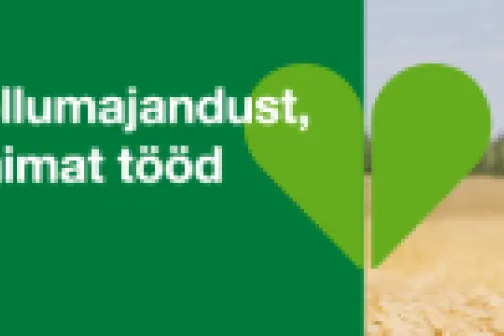 BASF v&auml;&auml;rtused