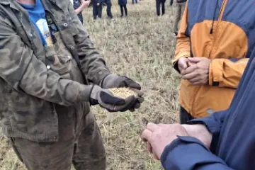 Oder peos, mis siis et märg