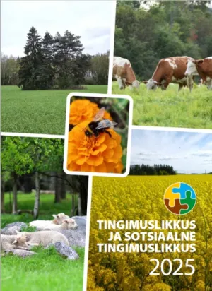 Tingimuslikkus 2025 v&auml;ljaanne