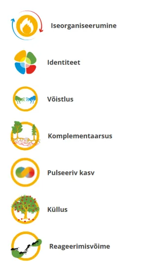 Kontseptsioonid v&otilde;rgustikes
