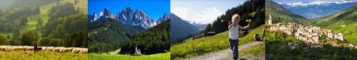 Euromontana