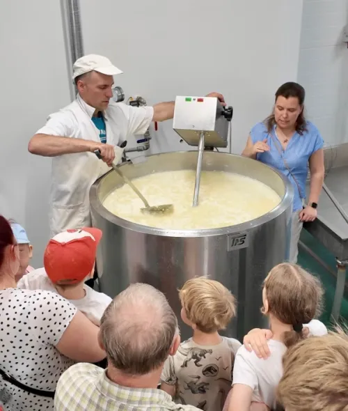 Mozzarella valmistamine Viinam&auml;rdi talus. Foto: Thomas Alf&ouml;ldi, FiBL