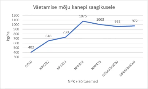 Kanepi väetamine