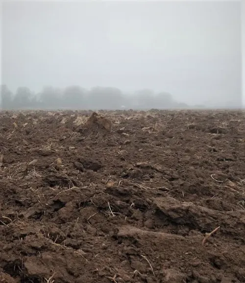 P&otilde;llumuld1