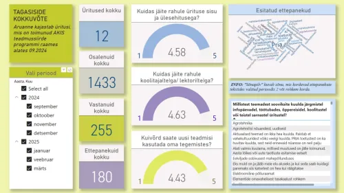 Tagasisde kokkuvõte Power BI
