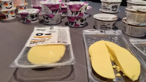 Taimevalgust puding ja juustuasendaja. Foto: Liina Ulm