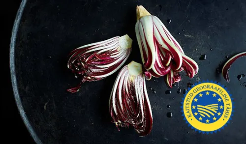 radicchio
