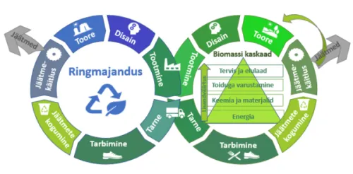 Allikas: Kers, J. et al. (2020). Eesti biomajanduse ressursside hetkeseisu analüüs. ADDVAL- BIOEC uuringu tööpaketi 1.1 vaheanalüüs