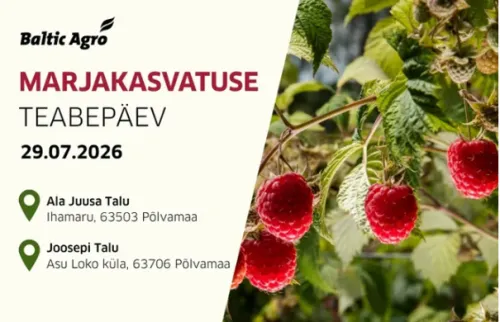 marjapäev Baltic