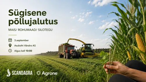p&otilde;llujalutuse tunnuspilt