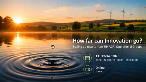 Network to Innovate - Innovation